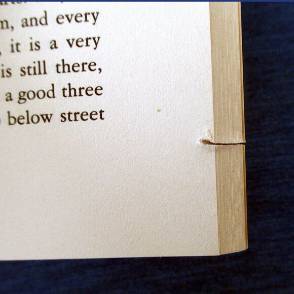 Book - The Mirror Maker: Stories and Essays, by Primo Levi - Picture 7 of 14